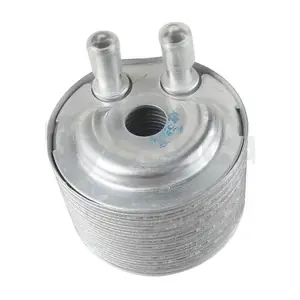 39388 OSSCA