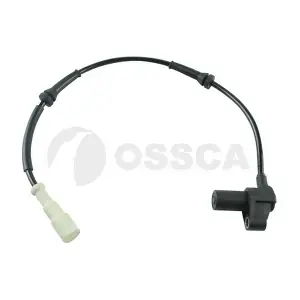 13134 OSSCA