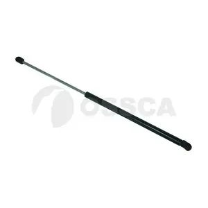 03919 OSSCA