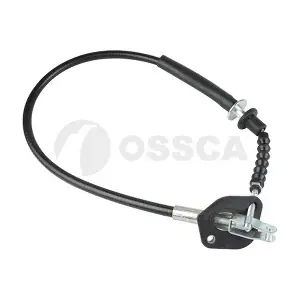 29418 OSSCA