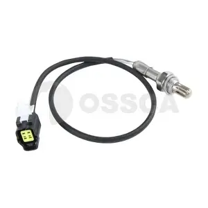41687 OSSCA