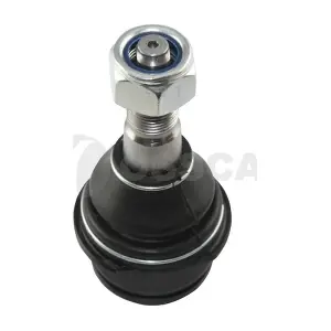 04950 OSSCA