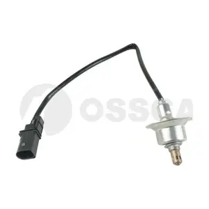 62434 OSSCA
