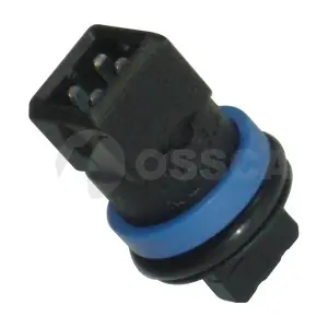02221 OSSCA