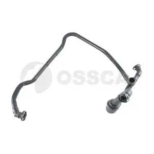 40389 OSSCA