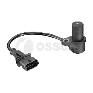 31647 OSSCA