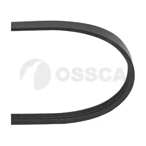 46429443 OSSCA