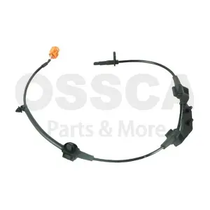 36439 OSSCA