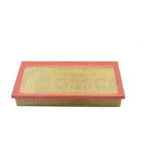 09843 OSSCA