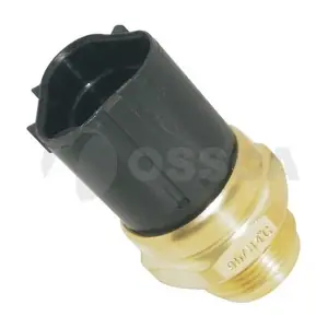 02905 OSSCA