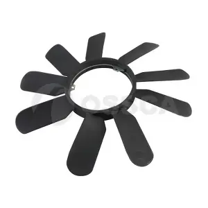 08976 OSSCA