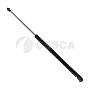 09173 OSSCA