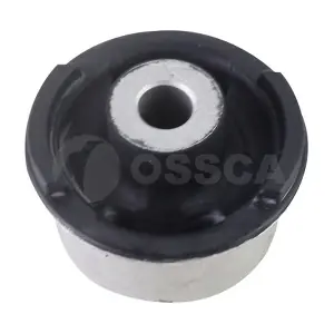 24369 OSSCA