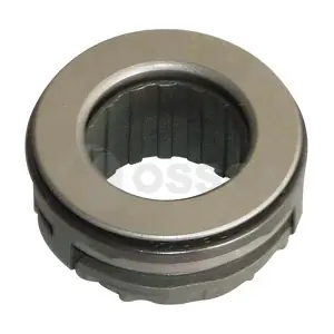 00739 OSSCA