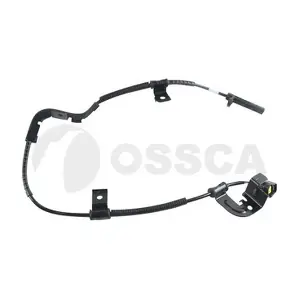 36676 OSSCA
