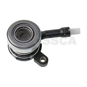 18578 OSSCA