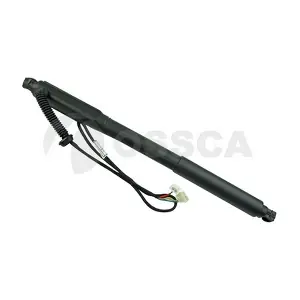 33916 OSSCA