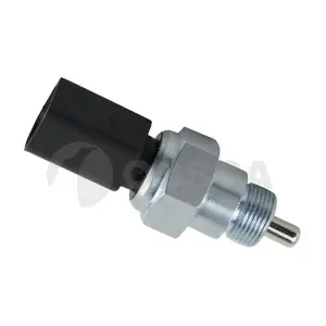 07676 OSSCA
