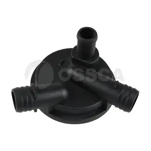32591 OSSCA