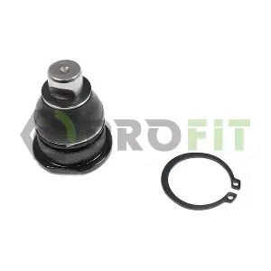 2301-0529 PROFIT