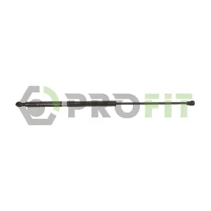 2015-0256 PROFIT