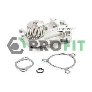 1701-0800 PROFIT