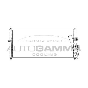 105017 AUTOGAMMA