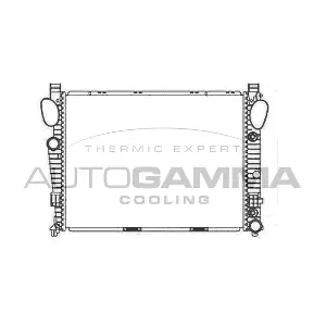 102169 AUTOGAMMA