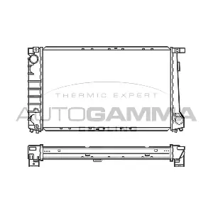 100128 AUTOGAMMA