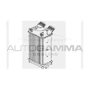 103862 AUTOGAMMA
