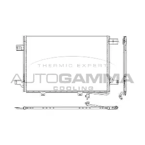 107113 AUTOGAMMA