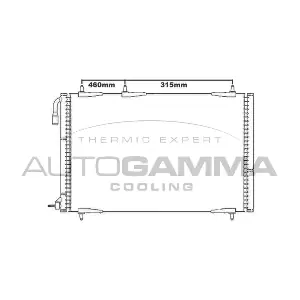 105589 AUTOGAMMA