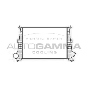 101503 AUTOGAMMA