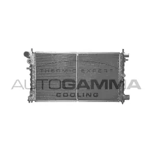 100737 AUTOGAMMA