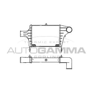 101890 AUTOGAMMA