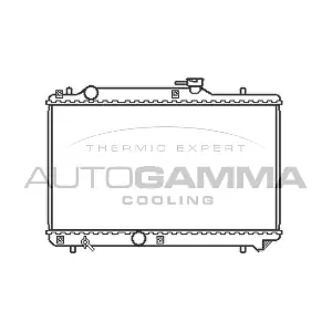 102322 AUTOGAMMA