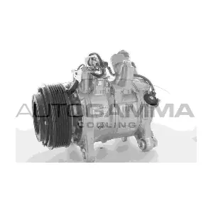 118397 AUTOGAMMA