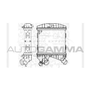 104487 AUTOGAMMA