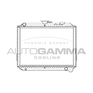 102216 AUTOGAMMA