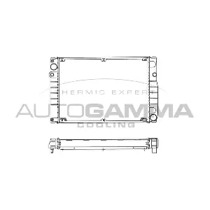 101300 AUTOGAMMA