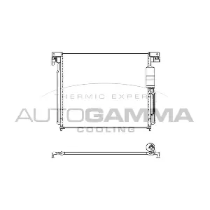 107431 AUTOGAMMA