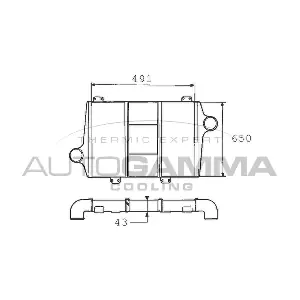 402040 AUTOGAMMA