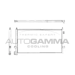 304794 AUTOGAMMA