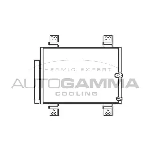105539 AUTOGAMMA