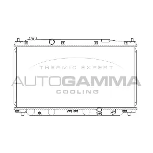 107218 AUTOGAMMA