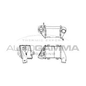 103950 AUTOGAMMA