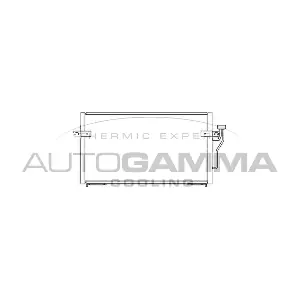102709 AUTOGAMMA