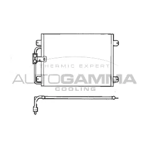 101793 AUTOGAMMA