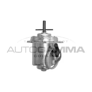 GA225002 AUTOGAMMA