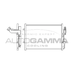 105618 AUTOGAMMA